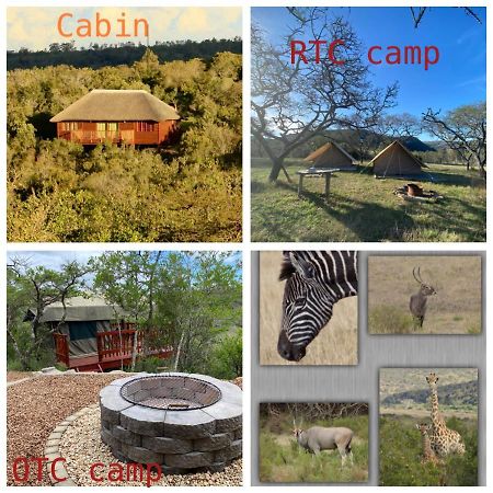 Horseshoe Game Reserve East London Exteriör bild
